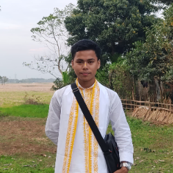 Pritom Singha-Freelancer in Konjengleikai,India