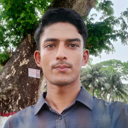 Rayhan Hossen-Freelancer in Pirojpur,Bangladesh
