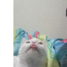 Va Jmanyara-Freelancer in Juja,Kenya