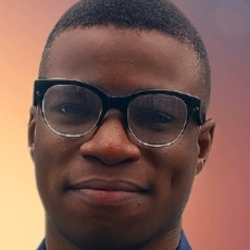 Marvellous Ademola-Freelancer in Iworoko,Nigeria