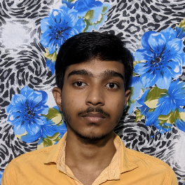 Tajuddin Mondal-Freelancer in Kalka,India