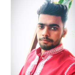 Peer Mohammad-Freelancer in Sitarganj,India