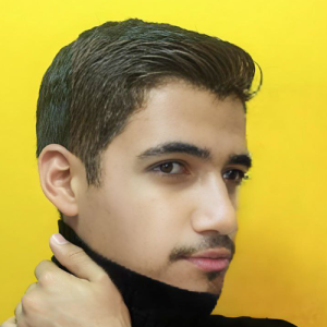 Nooredeen Mahmoud-Freelancer in Al Mansurah,Egypt