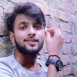 Dipak Kumar Mandal-Freelancer in Sahibzada Ajit Singh Nagar,India