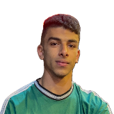 Mahmoud Mostafa-Freelancer in Mansoura,Egypt