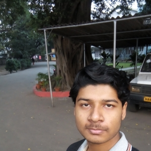 Siddhant Choudhary-Freelancer in ,India