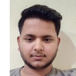 Aditya Singh-Freelancer in Bela Pratapgarh Uttar Pradesh,India