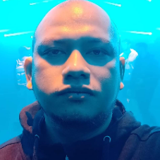 David Mark Abanes-Freelancer in Antipolo City,Philippines