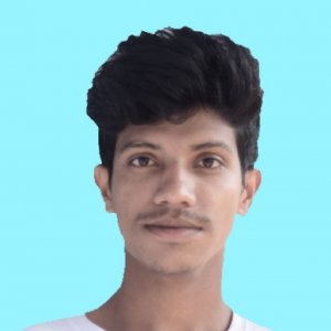 Md Sharifu Islam-Freelancer in Dhaka,Bangladesh