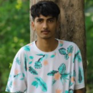 Ajay Pateliya-Freelancer in Meerut,India