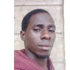 Evans Gaya-Freelancer in Nairobi,Kenya