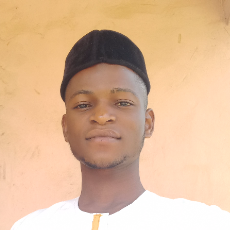 Amosun Saheed-Freelancer in Ogun State Nigeria,Nigeria