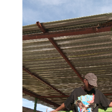 Tshayingwe-Freelancer in Whittlesea,South Africa