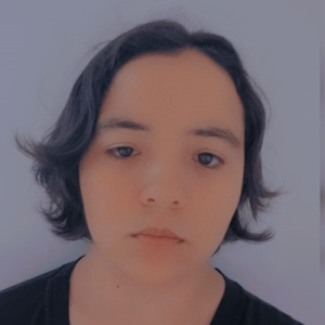 Danieli Fatima-Freelancer in Blumenau,Brazil