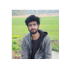 Deep Mandal-Freelancer in Narayanpur P,India