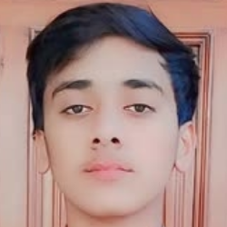 Hassan Shab-Freelancer in Kahror Pacca,Pakistan