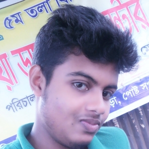 Md Mostak Ahamed-Freelancer in Rajshahi,Bangladesh