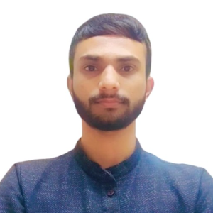 S A Parthiv-Freelancer in Limda,India