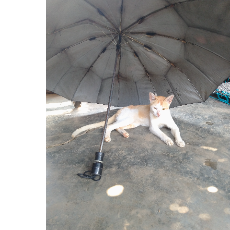 Sudipta Talukdar-Freelancer in Guwahati,India