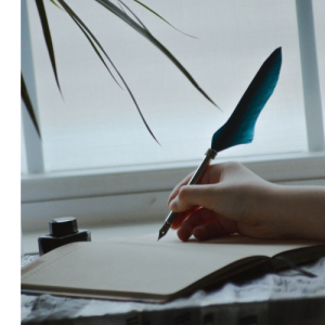 احمد محمد-Freelancer in Sharm El-sheikh,Egypt