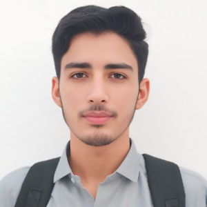 Bilal Ahmad-Freelancer in Pākpattan,Pakistan