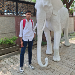 Kapil Chaudhary-Freelancer in Mathura,India