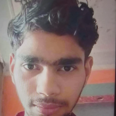 Sanib Qureshi-Freelancer in Dhaulana,India