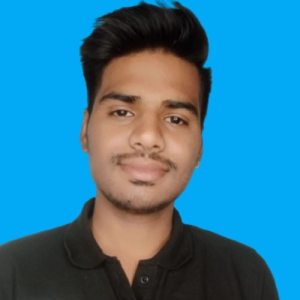 Lokesh Mali-Freelancer in Bhilwara,India