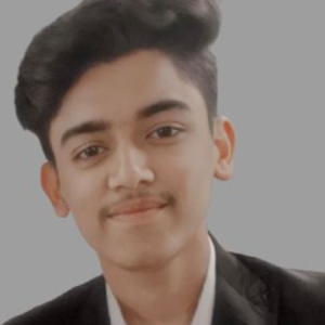 Avesh Ansari-Freelancer in Indore,India