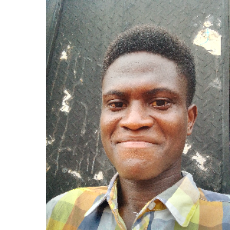 Emmanuel Idowu-Freelancer in Abuja Municipal Area Council,Nigeria
