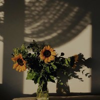 Chriscentia Saidi-Freelancer in Malaysia,Malaysia