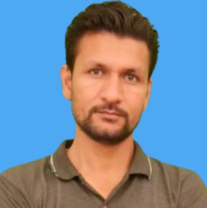 Ramesh Kumar-Freelancer in Hisar,India