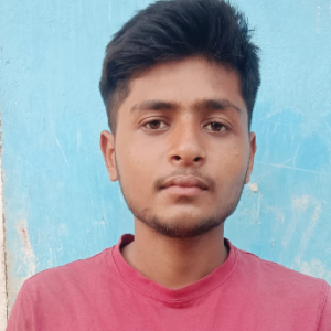 Ashok Kumar-Freelancer in Bhagdewa,India