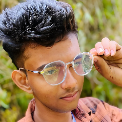 Deneth Rajakaruna-Freelancer in Nawagattegama,Sri Lanka