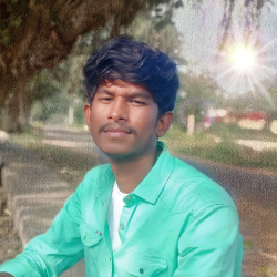 Velmurugan Palanisamy-Freelancer in Kudagipatti,India