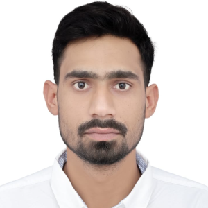 Priyanshu Chaudhary-Freelancer in Meerut,India
