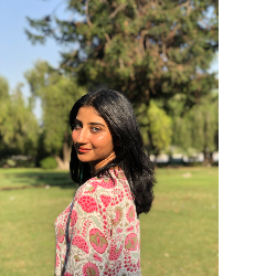 Aafreen Maur-Freelancer in Sahibzada Ajit Singh Nagar,India