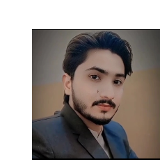 Ameer Hamza-Freelancer in ,Pakistan