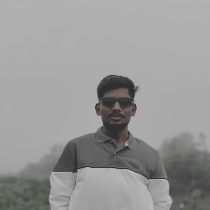 Roshan Ganpat Gedam-Freelancer in Umari.,India