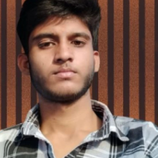 Prince Verma-Freelancer in Kanpur,India