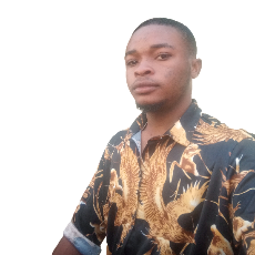 Nzuruike Patrick-Freelancer in Lagos,Nigeria