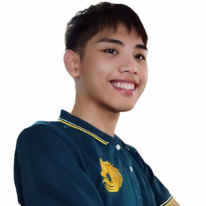 John Vincent S. Sager-Freelancer in Mandaluyong City,Philippines