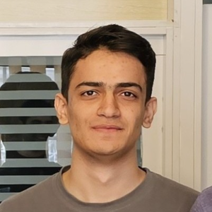 Javad Falahati-Freelancer in București,Romanian