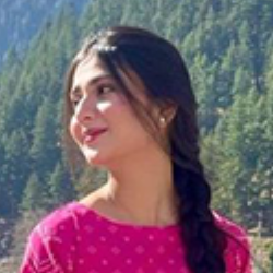 alinaceocontentmarketing@gmail-Freelancer in Faisalabad,Pakistan