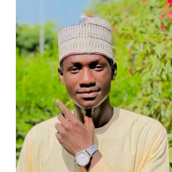 Musbahu Muh'd Bello-Freelancer in Kaduna,Nigeria