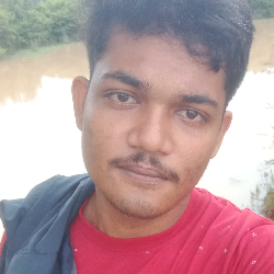 Raja Ganguly-Freelancer in SINAMUKHI,India