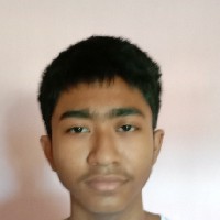 Pragyan Ahuja-Freelancer in Digboi,India