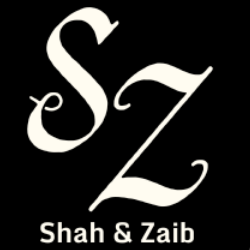 shahzaib ali-Freelancer in Lahore,Pakistan