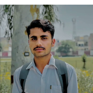Nasir Abbas Arain-Freelancer in Lahore,Pakistan