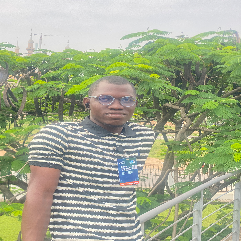 Adesina Uthman Akorede-Freelancer in Ibadan,Nigeria